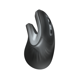 Mouse fara fir Trust Verro Ergonomic, USB, 1600 DPI, Optic, Black