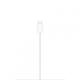 Apple MagSafe Charger (1 m)