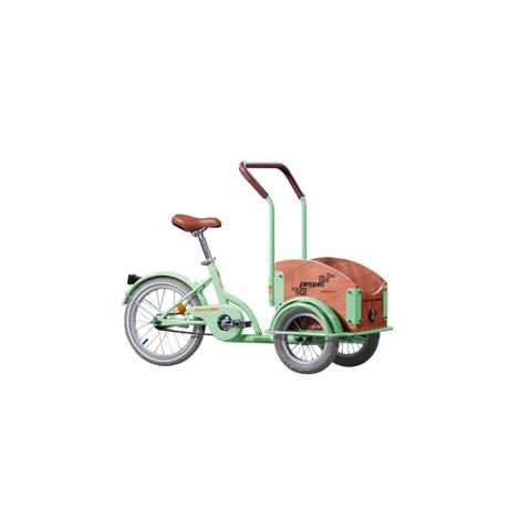 Bicicleta Pegas Mini Cargo 1s Verde Fistic