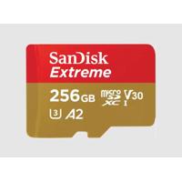 Card de Memorie SanDisk, 256GB, UHS-I, Class 10, 80MB/s + Adaptor