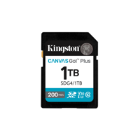 Card de Memorie SD Kingston Canvas GO Plus CL 10