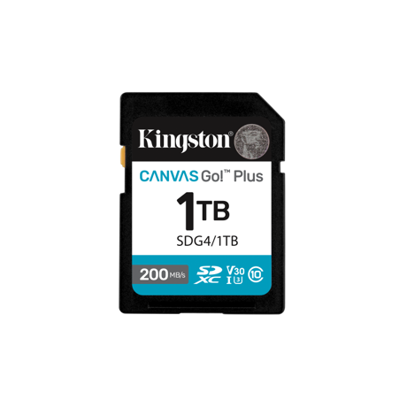 Card de Memorie SD Kingston Canvas GO Plus CL 10