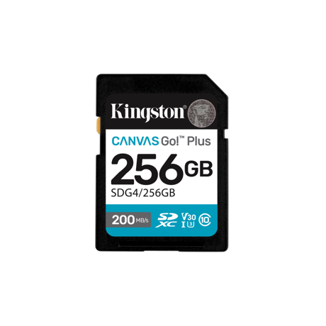Card de Memorie SD Kingston 256GB Canvas GO PLUS CL10