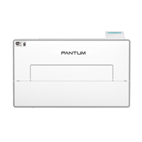 Imprimanta mono Pantum BP4200DW