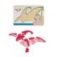PUZZLE DIN LEMN PTERODACTIL, 8 PIESE