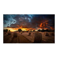 Monitor Videowall SAMSUNG VM55B