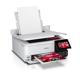 Multifunctional inkjet color CISS Epson L8160