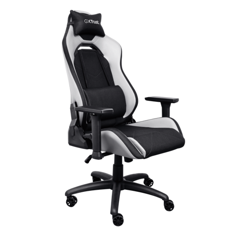Scaun gaming Trust GXT 714B Ruya Comfortable, roti, ridicare pe gaz clasa 4, adjustabil pe inaltime, material plastic + PU leather, greutate maxima suportata 150 kg, negru/alb