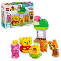 PETRECEREA ANIVERSARA A LUI WINNIE THE POOH, LEGO 10457