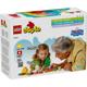 EXCURSIE CU CORTUL, LEGO 10452