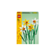NARCISE, LEGO 40747