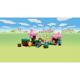 GRADINA CU CIRESI INFLORITI LEGO 21260