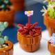 PLANTE DE MICI DIMENSIUNI, LEGO 10329