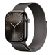 Apple Watch Series 10 GPS + Cellular 46mm Slate Titanium Case with Slate Milanese Loop - M/L MWYW3QC/A