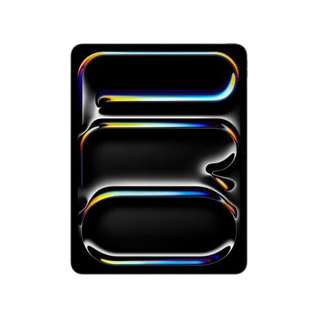 Apple 13-inch iPad Pro (M4) WiFi 1TB with Standard glass - Space Black (2024)