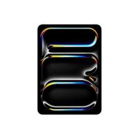 Apple 11-inch iPad Pro (M4) Cellular 256GB with Standard glass - Silver (2024) MVW23HC/A