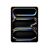 Apple 13-inch iPad Pro (M4) WiFi 256GB with Standard glass - Space Black (2024) MVX23HC/A