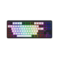 Tastatura mecanica wirelss Hator Rockfall 3 Mecha TKL conectivitate USB, pollingrate 1000Hz, iluminare RGB cu functia de a customiza fiecare tasta individual, tip switch HATOR Aurum Orange Linear rev.1.0, durata de viata switch 70M de clickuri, durata de viata baterie pana la 160 ore in wireless