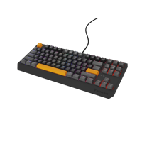 Tastatura gaming mecanica cu fir Genesis Thor 230 TKL, iluminare RGB, switch Linear, switch model Outemu Red, numar taste 87, 11 butoane multimedia, lungime cablu 1.6m, dimensiuni 363 x 155 x 39 mm, gri